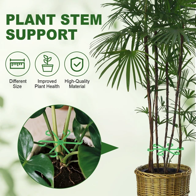 Alt view image 5 of 7 - 16PCS Plant Stem Support, Plant Stem Holder for Indoor Plants, Climbing Houseplant Stem Supports, Reusable Plant Stabilizer