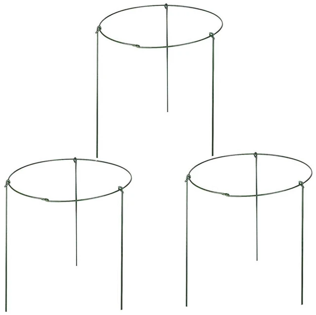 Main image of (Pack of 3) Garden Plant Support Rings, 5.5" Wide x 11" High, 3 Legs