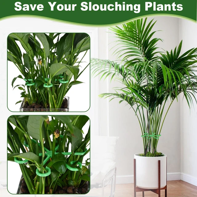 Alt view image 6 of 7 - 16PCS Plant Stem Support, Plant Stem Holder for Indoor Plants, Climbing Houseplant Stem Supports, Reusable Plant Stabilizer