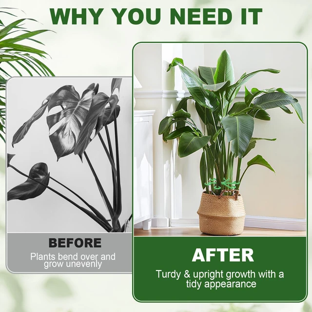 Alt view image 4 of 7 - 16PCS Plant Stem Support, Plant Stem Holder for Indoor Plants, Climbing Houseplant Stem Supports, Reusable Plant Stabilizer
