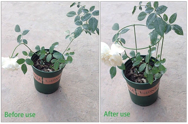 Alt view image 4 of 7 - (Pack of 3) Garden Plant Support Rings, 5.5" Wide x 11" High, 3 Legs