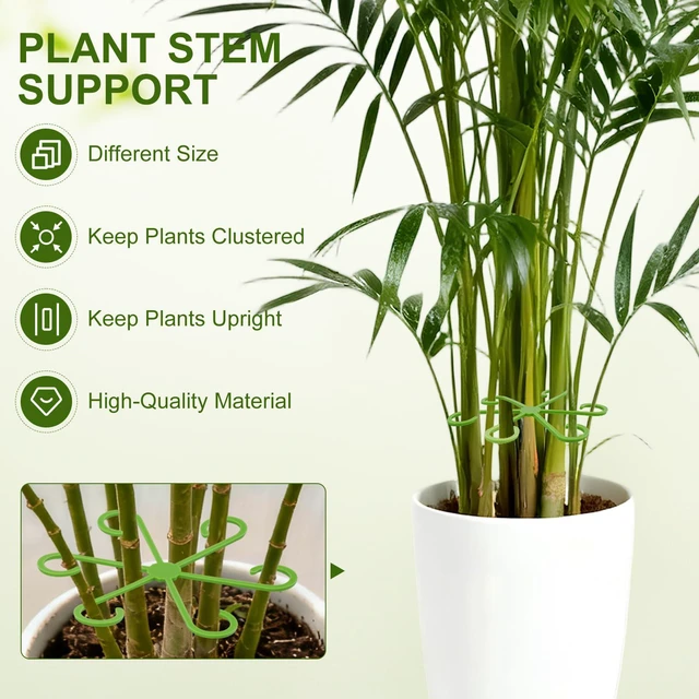 Alt view image 4 of 7 - 20PCS Plant Stem Supports for Monstera, 4 Sizes for Indoor Plants | Monstera Plant Supports for Thriving Growth, Stem Support for Climbing Indoor Plants, Reusable Green Plastic Accessories
