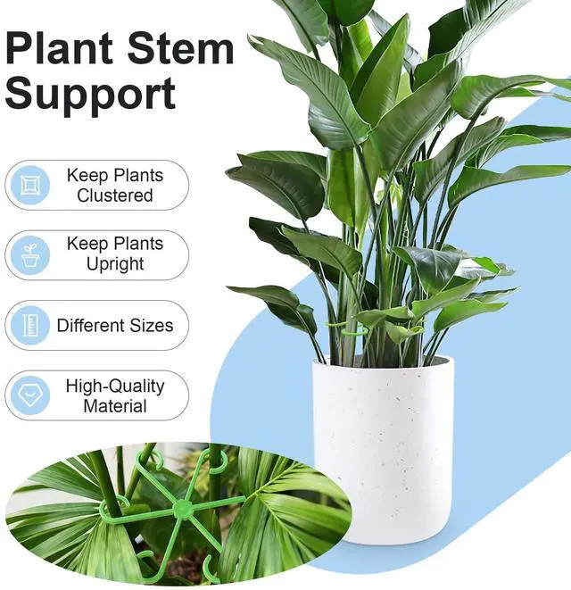Alt view image 5 of 7 - 20PCS Plant Stem Supports for Monstera, 4 Sizes for Indoor Plants | Monstera Plant Supports for Thriving Growth, Stem Support for Climbing Indoor Plants, Reusable Green Plastic Accessories