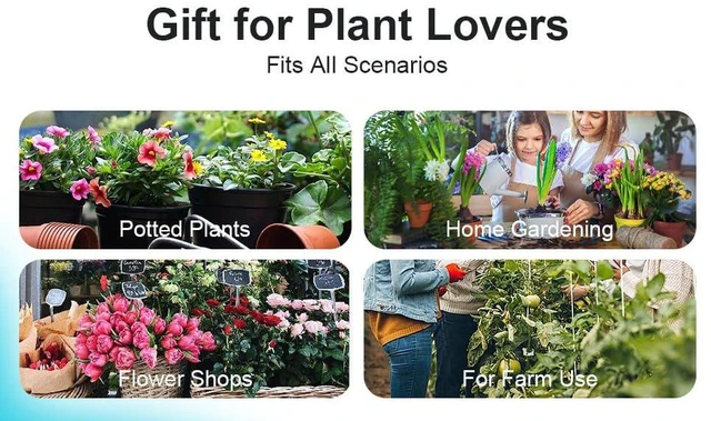 Alt view image 7 of 7 - 20PCS Plant Stem Supports for Monstera, 4 Sizes for Indoor Plants | Monstera Plant Supports for Thriving Growth, Stem Support for Climbing Indoor Plants, Reusable Green Plastic Accessories