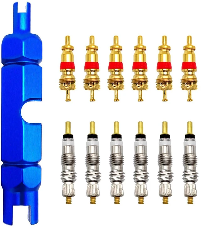 Main image of Bicycle Valve Core Remover Tool Kit Universal Bike and Car Valve Core Repair Tightening Tool and 12pcs Valve Cores Replacement Compatible with Presta and Schrader Valve - Blue