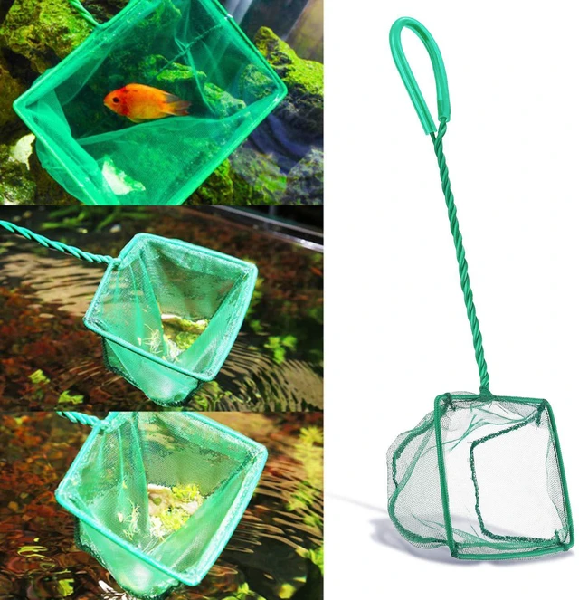Alt view image 4 of 7 - 2 Pack Aquarium Fish Nets, DSSPORT 4 Inch Small Mesh Fish Catch Nets with Plastic Handle Green