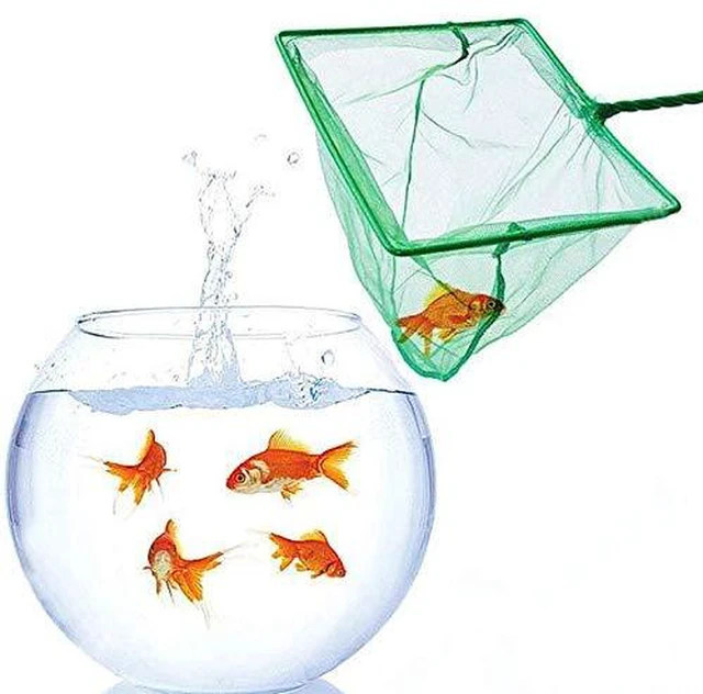 Alt view image 6 of 7 - 2 Pack Aquarium Fish Nets, DSSPORT 4 Inch Small Mesh Fish Catch Nets with Plastic Handle Green