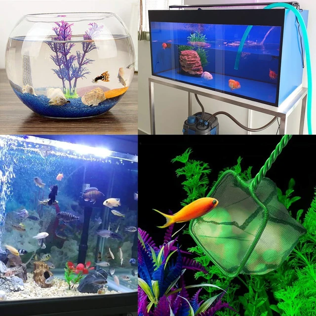 Alt view image 7 of 7 - 2 Pack Aquarium Fish Nets, DSSPORT 4 Inch Small Mesh Fish Catch Nets with Plastic Handle Green
