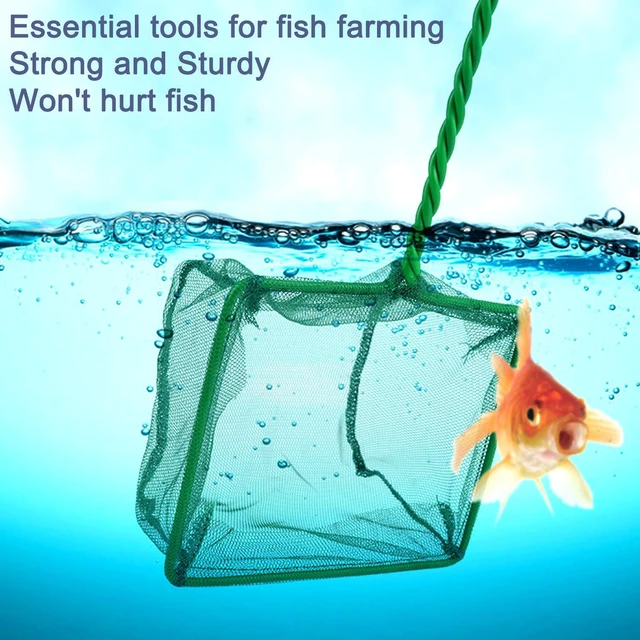 Alt view image 5 of 7 - 2 Pack Aquarium Fish Nets, DSSPORT 4 Inch Small Mesh Fish Catch Nets with Plastic Handle Green