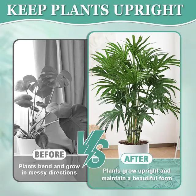 Alt view image 4 of 7 - 8PCS Plant Stem Support, Monstera Plant Support Clips for Indoor Plants | 4 Sizes Reusable Black Plant Stabilizer for Monstera, Pothos, Vines and Indoor Plants, A Practical Indoor Plant Accessory