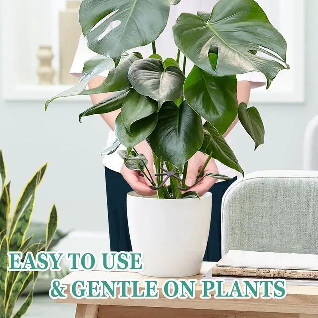 Alt view image 5 of 7 - 8PCS Plant Stem Support, Monstera Plant Support Clips for Indoor Plants | 4 Sizes Reusable Black Plant Stabilizer for Monstera, Pothos, Vines and Indoor Plants, A Practical Indoor Plant Accessory