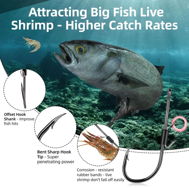 Alt view image 3 of 7 - Baitholder Fishing Hooks, 20pcs Live Shrimp Fixed Hooks Carbon Steel Long Shank Barbed Hooks for Catfish and Bass 2/0