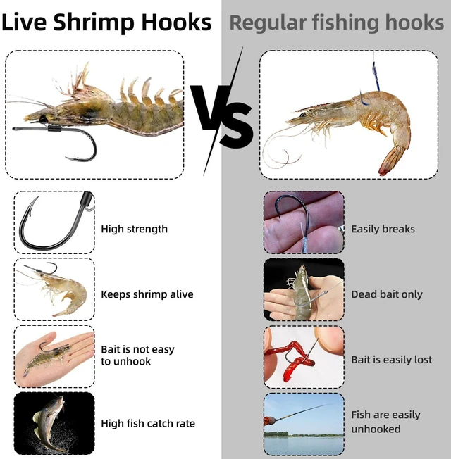 Alt view image 4 of 7 - Baitholder Fishing Hooks, 20pcs Live Shrimp Fixed Hooks Carbon Steel Long Shank Barbed Hooks for Catfish and Bass 2/0