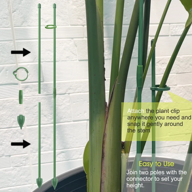 Alt view image 3 of 7 - Plant Stakes for Indoor Plants, 14 Inch Plant Support Stakes, 6 PCS | Tall Adjustable Garden Plant Sticks, with Clips for Indoor Monstera Tomato Orchid Potted Plants Flower, Green