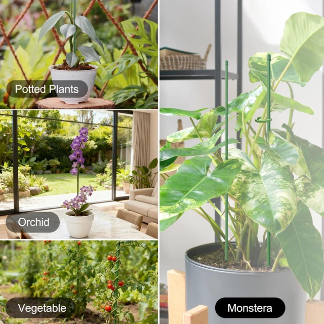 Alt view image 7 of 7 - Plant Stakes for Indoor Plants, 14 Inch Plant Support Stakes, 6 PCS | Tall Adjustable Garden Plant Sticks, with Clips for Indoor Monstera Tomato Orchid Potted Plants Flower, Green