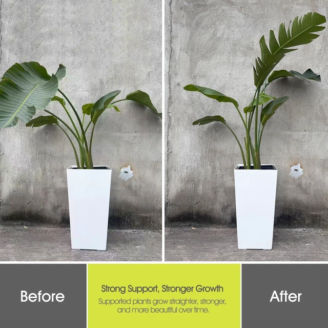 Alt view image 5 of 7 - Plant Stakes for Indoor Plants, 14 Inch Plant Support Stakes, 6 PCS | Tall Adjustable Garden Plant Sticks, with Clips for Indoor Monstera Tomato Orchid Potted Plants Flower, Green