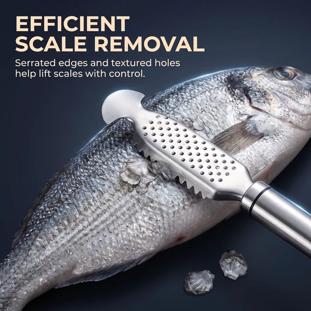 Alt view image 4 of 7 - 1Pc Fish Scales Scraping Tool,Multifunction Stainless Steel Fish Scale Knife Fish Cleaning Kit,Fish Scale Peeler,Fish Descaler Tool,Fish Scaler Remover,Fish Scaler Fish Scale Removing Tool