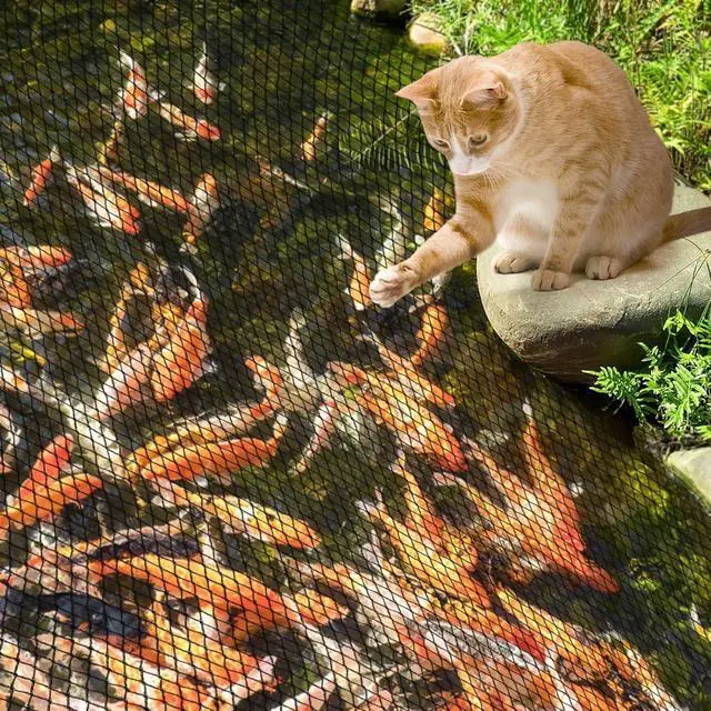Alt view image 5 of 6 - 35 x 40 Ft Heavy Duty Koi Pond Netting Kit, 3/8 Inch Mesh Pond Leaf Cover with Stakes, Protects Fish from Birds and Predators for Outdoor Ponds