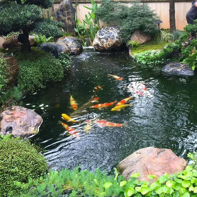 Alt view image 4 of 7 - 15 x 25 FT HDPE Pond Liner, 20 Mil Thick Waterproof Flexible Pond Sheet for Outdoor Fish Koi Ponds, Garden Water Fountains and Waterfall Construction