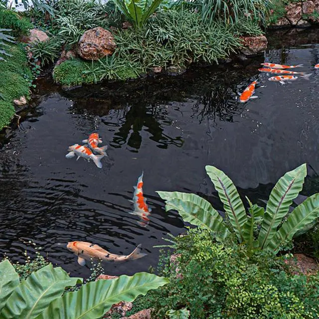 Alt view image 7 of 7 - 15 x 25 FT HDPE Pond Liner, 20 Mil Thick Waterproof Flexible Pond Sheet for Outdoor Fish Koi Ponds, Garden Water Fountains and Waterfall Construction