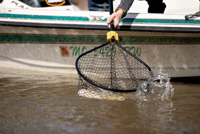 Alt view image 2 of 5 - 36 Inch Slide Handle Fishing Conservation Net 17" x 19" Teardrop Hoop 16" Deep Tangle-Free Knotless Micromesh with Reinforced Yoke and Non-Slip Rubber Grip for Catch and Release Fishing