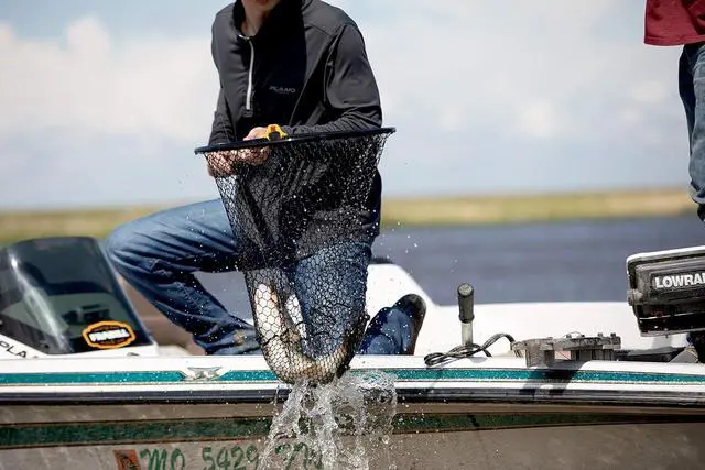 Alt view image 3 of 5 - 36 Inch Slide Handle Fishing Conservation Net 17" x 19" Teardrop Hoop 16" Deep Tangle-Free Knotless Micromesh with Reinforced Yoke and Non-Slip Rubber Grip for Catch and Release Fishing