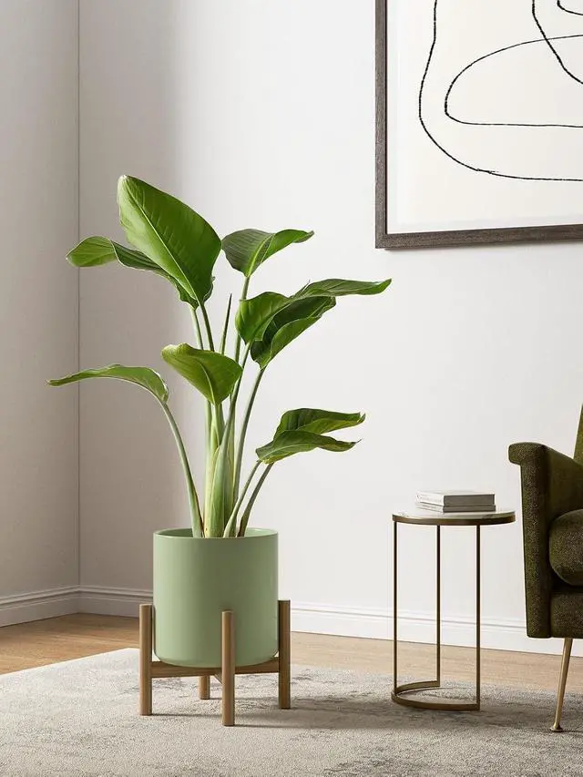 Alt view image 3 of 6 - 10+8+6 Inch Ceramic Plant Pots Set of 3 with Drainage Hole and Plug Modern Cylinder Indoor Planters for Living Room Kitchen Glossy Sage Green
