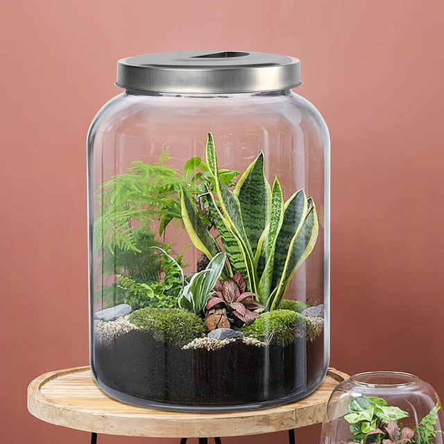 Alt view image 5 of 6 - 5.5 Gallon Large Glass Storage Jar with Lid, 7.5 Inch Super Wide Mouth Heavy Duty Glass Canister, 21000ml Food Grade Transparent Container for Flour Rice Dog Food Pantry Kitchen Storage