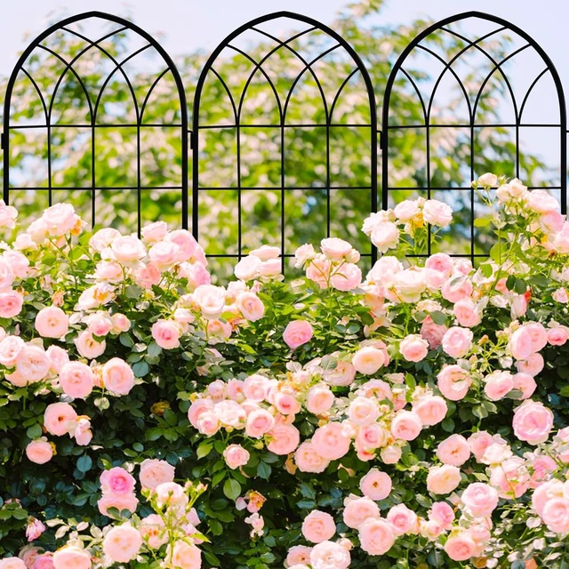 Alt view image 3 of 7 - 71 x 80in Rustic Iron Arch Decoration Garden Trellis with Black Metal Coating Perfect for Supporting Climbing Plants Outdoor, Roses, Vines, Flowers, and Vegetables.