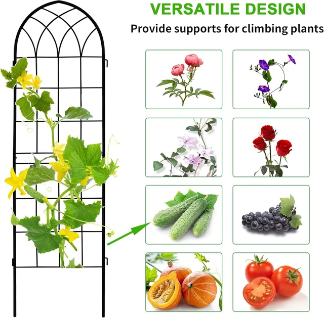 Alt view image 5 of 7 - 71 x 80in Rustic Iron Arch Decoration Garden Trellis with Black Metal Coating Perfect for Supporting Climbing Plants Outdoor, Roses, Vines, Flowers, and Vegetables.