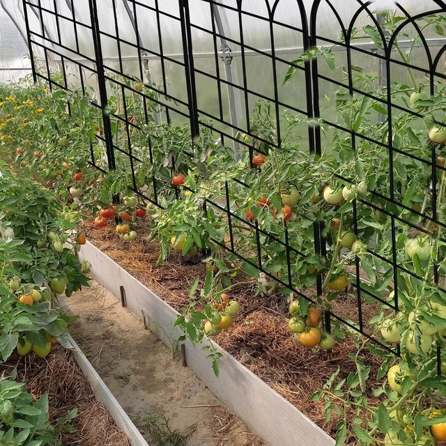 Alt view image 7 of 7 - 71 x 80in Rustic Iron Arch Decoration Garden Trellis with Black Metal Coating Perfect for Supporting Climbing Plants Outdoor, Roses, Vines, Flowers, and Vegetables.