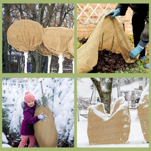 Alt view image 3 of 7 - 1 Pack 60 Inch X 100 ft Burlap Fabrics Roll Natural Jute Garden | Multipurpose Landscape Fabric, Burlap by the Yard, High Density, for Tree Wrap DIY Craft Indoor Outdoor Plant Cover Weed