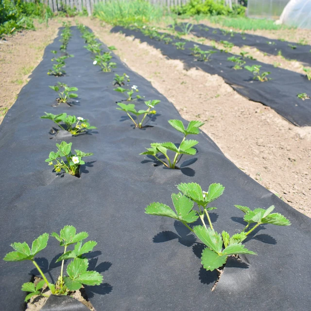 Alt view image 3 of 4 - Nonwoven Geotextile Underlayment - 20 ft. x 25 ft. | 6 oz density, use for ponds, weed barrier, landscaping, stabilization