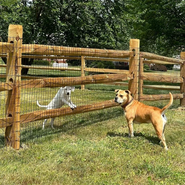 Alt view image 7 of 7 - Wire Fence 48in x 100ft, 2"x3" Mesh, 16 Gauge Garden Fence | Black PVC Coated Garden Fencing for Yard & Pet Barrier, Chicken Wire Fencing, Dog Enclosure Mesh, Vegetable Plant Protector