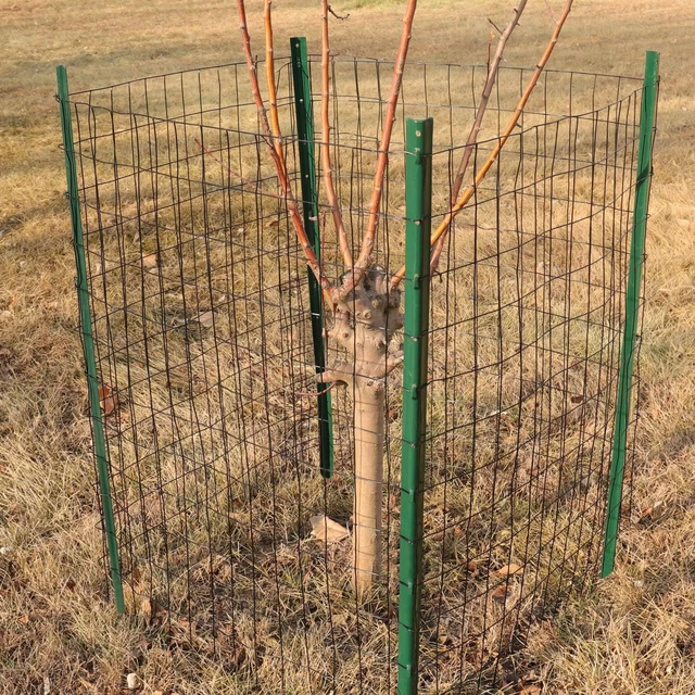 Alt view image 5 of 6 - Black PVC Coated Welded Wire Fence 48" x 50' Roll, 2"x3" Mesh, 16 Gauge | Vinyl Coated Garden Fencing, Yard & Pet Barrier, Chicken Wire Fencing, Dog Enclosure Mesh, Vegetable Plant Protector
