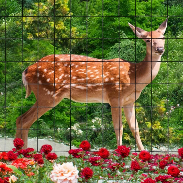 Alt view image 6 of 6 - Black PVC Coated Welded Wire Fence 48" x 50' Roll, 2"x3" Mesh, 16 Gauge | Vinyl Coated Garden Fencing, Yard & Pet Barrier, Chicken Wire Fencing, Dog Enclosure Mesh, Vegetable Plant Protector