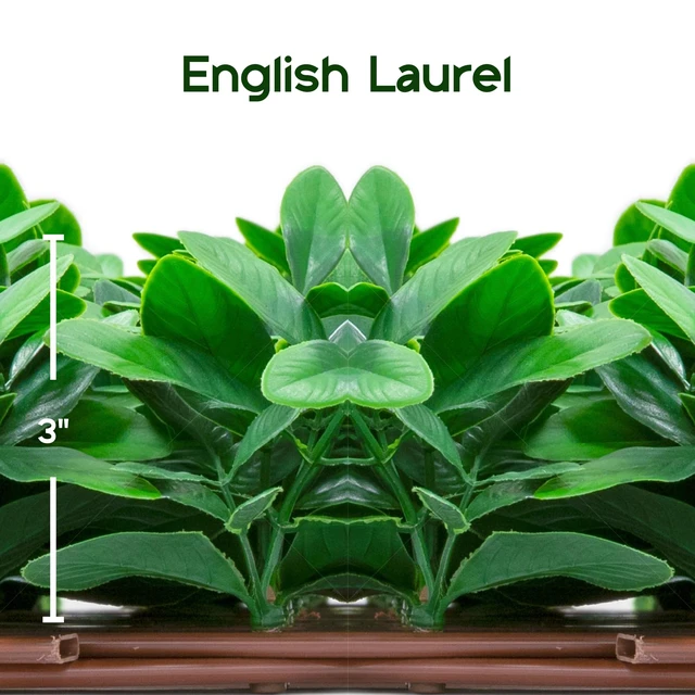 Alt view image 3 of 7 - 20''X50'' Artificial Privacy Grass Wall Decor, Laurel Leaf | Faux Trellis, Expandable lattice Panels for Indoor, Outdoor, Garden And Balcony Greenery Wall Fence Screen | UV Resistant