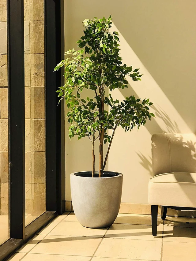 Alt view image 2 of 5 - Large 18" Round Concrete Planter, Modern Bowl Plant Pot for Home | Drainage Hole & Rubber Plug, Premium and Durable Weathered Cement Pot for Indoor Outdoor Patio, Porch, Garden Décor