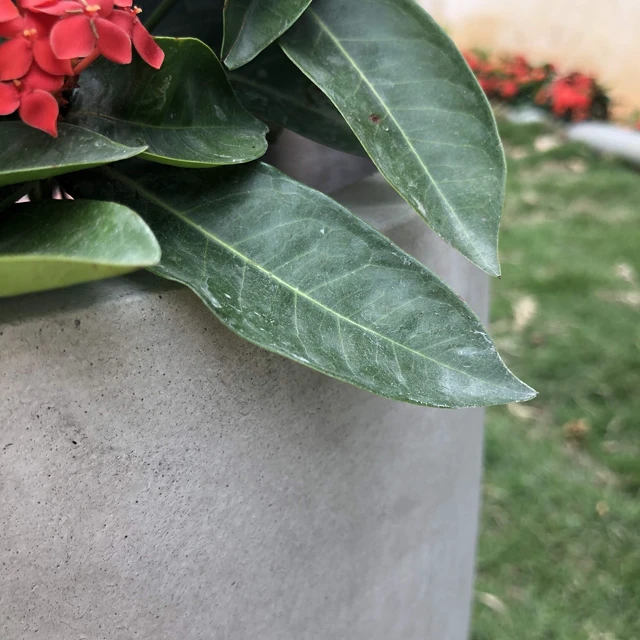 Alt view image 5 of 5 - Large 18" Round Concrete Planter, Modern Bowl Plant Pot for Home | Drainage Hole & Rubber Plug, Premium and Durable Weathered Cement Pot for Indoor Outdoor Patio, Porch, Garden Décor