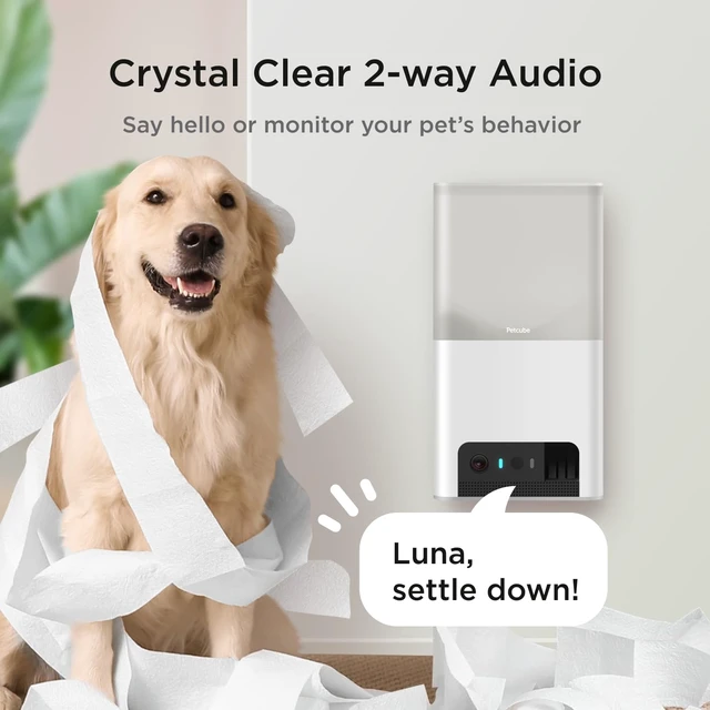 Alt view image 5 of 7 - Bites 2 Lite - WiFi Pet Camera with Treat Dispenser & App | Remote treat dispenser for cats & dogs, 1080p HD video, night vision, 2-way audio, sound & motion alerts