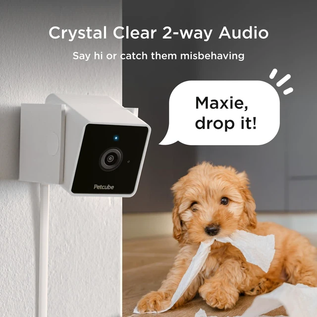 Alt view image 5 of 7 - Cam (2-Pack) Wi-Fi Pet & Security Camera with App | 1080p HD video, 2-way audio, night vision, smart alerts for dog, cat & home security monitoring. Includes 2 cameras