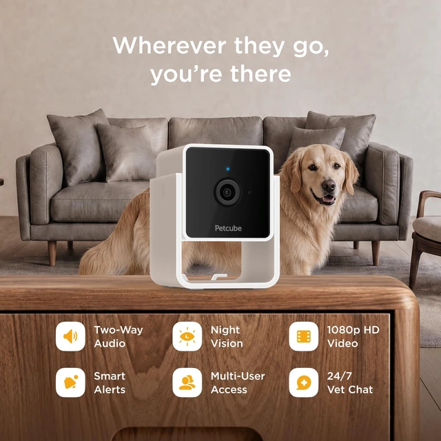 Alt view image 2 of 7 - Cam (2-Pack) Wi-Fi Pet & Security Camera with App | 1080p HD video, 2-way audio, night vision, smart alerts for dog, cat & home security monitoring. Includes 2 cameras