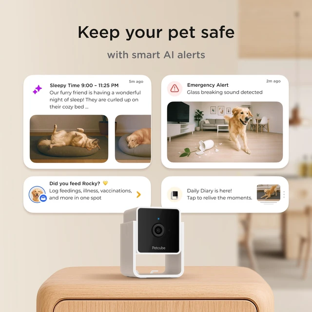 Alt view image 3 of 7 - Cam (2-Pack) Wi-Fi Pet & Security Camera with App | 1080p HD video, 2-way audio, night vision, smart alerts for dog, cat & home security monitoring. Includes 2 cameras