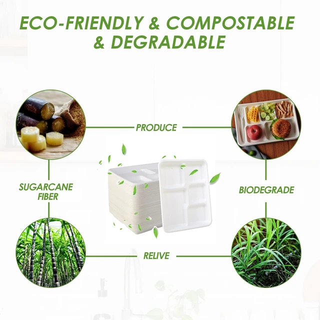 Alt view image 5 of 7 - 500 Pack 5 Compartment Plates, Compostable Plate, 10.2x8.5 inch | Disposable School Lunch Trays, Eco-Friendly Bagasse Plates for School Lunch, Buffet, and Party, Perfect for Kids