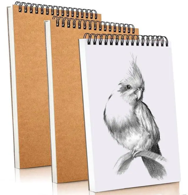 Main image of Sketch Book Pad, Drawing Paper 9" x 12" Spiral Bound (98lb/160gsm), 90 Sheets, Pack of 3, Durable Acid Free Sketchbook for Painting (3 Pack- 9"X12")