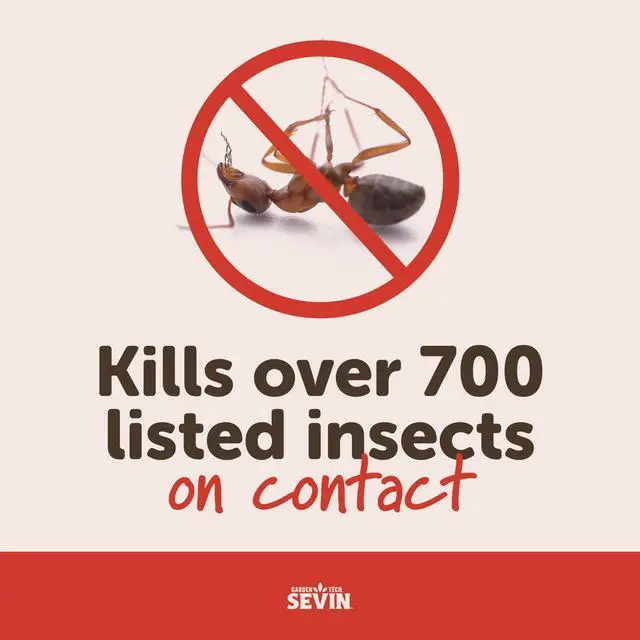 Alt view image 7 of 7 - Insect Killer Spray, Ready-to-Use 2, 32 Oz | Kills on contact, over 700 listed insects, pest control spray, shake and spray