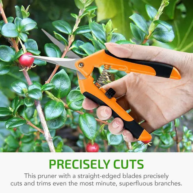 Alt view image 6 of 7 - 6.5 Inch Gardening Scissors Hand Pruner Pruning Shear with Straight Stainless Steel Blades, Orange, 1-Pack
