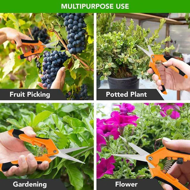 Alt view image 7 of 7 - 6.5 Inch Gardening Scissors Hand Pruner Pruning Shear with Straight Stainless Steel Blades, Orange, 1-Pack
