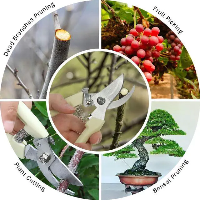 Alt view image 7 of 7 - 2Pcs Professional Pruning Shears (Include 1 Bypass Pruning Shears and 1 Straight Blade Garden Scissors) Premium Garden Shears for Trimming Flowers, Shaping Plants, Bonsai,hydroponics,herbs