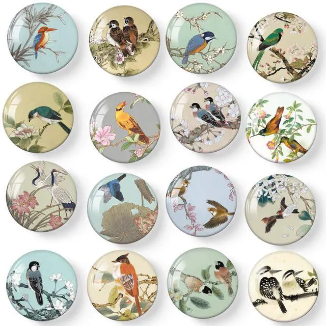 Main image of 16PCS Bird Fridge Magnets, Cute Decoration for Refrigerator Locker Whiteboard Decorative Magnetic Board Cabinets Classroom Office Cubicle